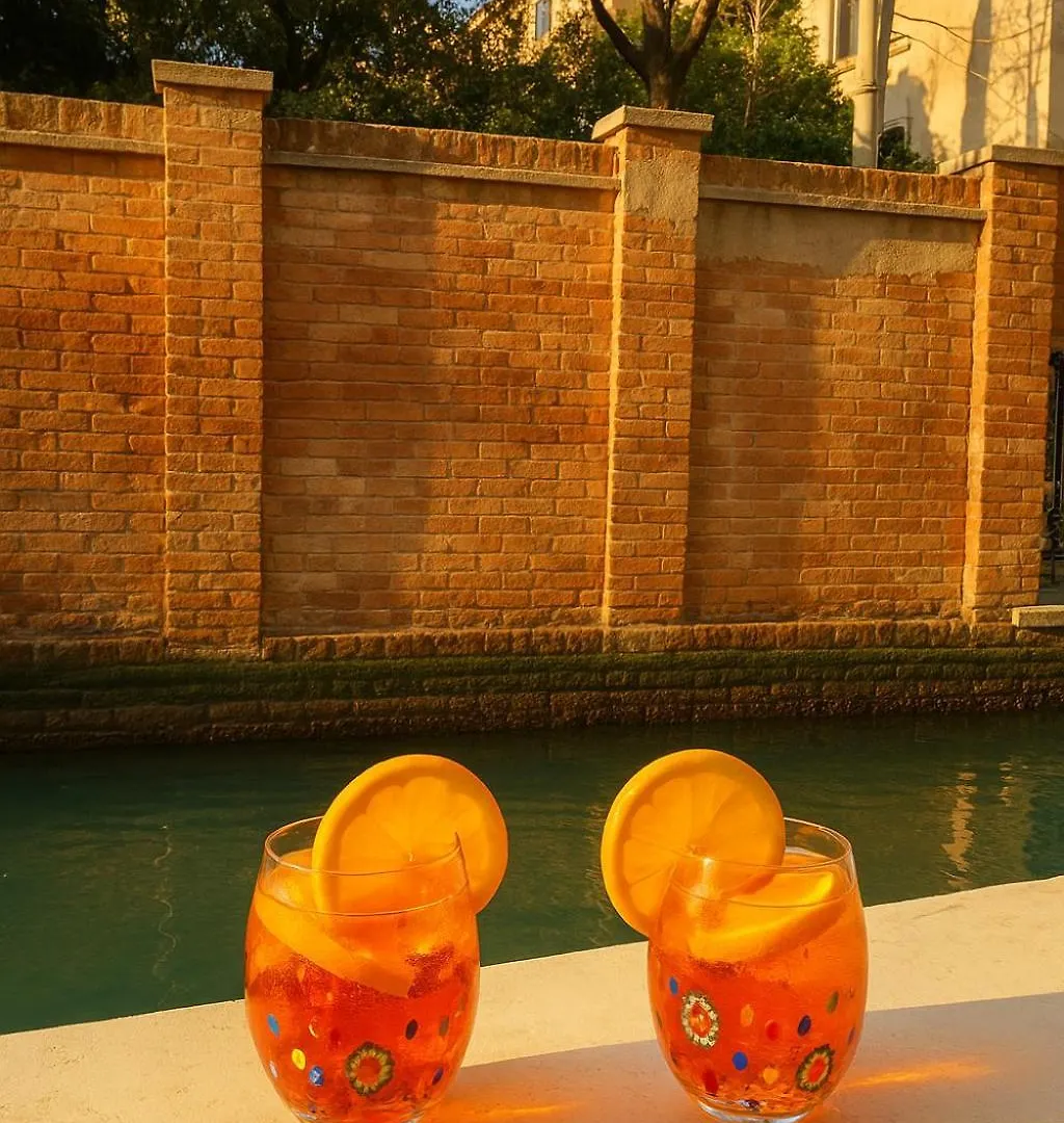 Ca'Dei Nonni Canal View Venezia